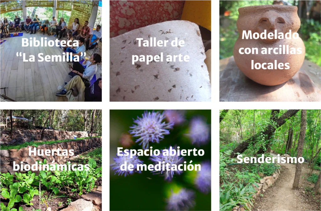Cuadricula