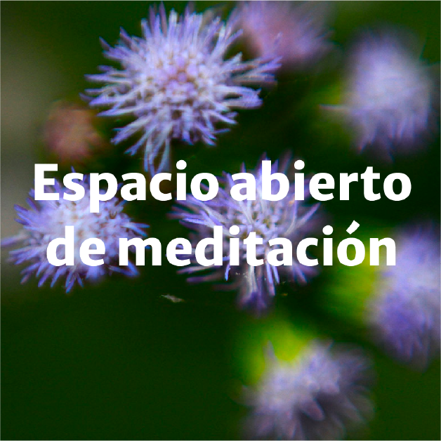 Espacio abierto de meditacion