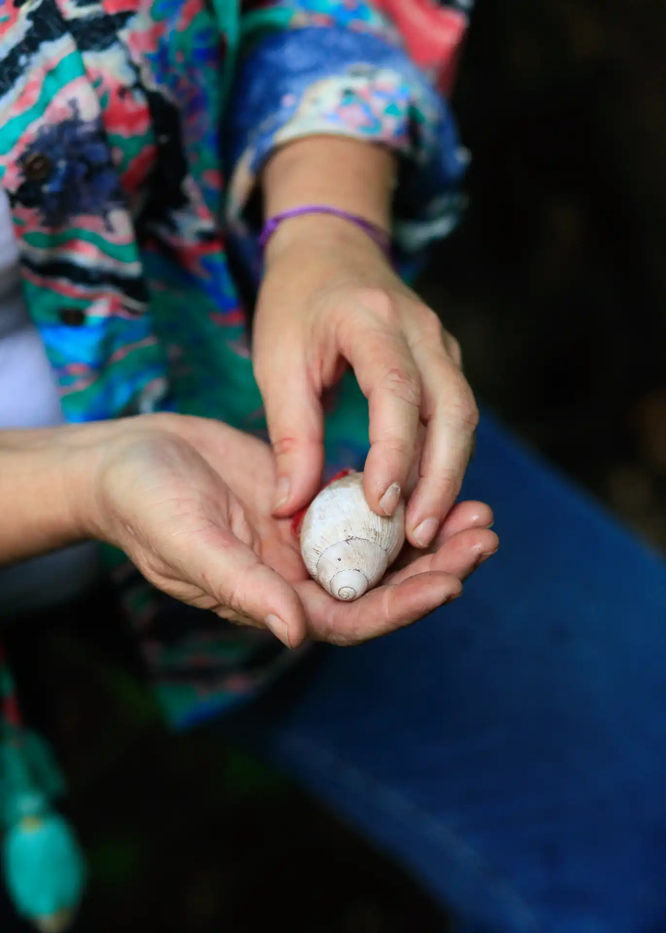 Naturaleza yungas Salta caracol