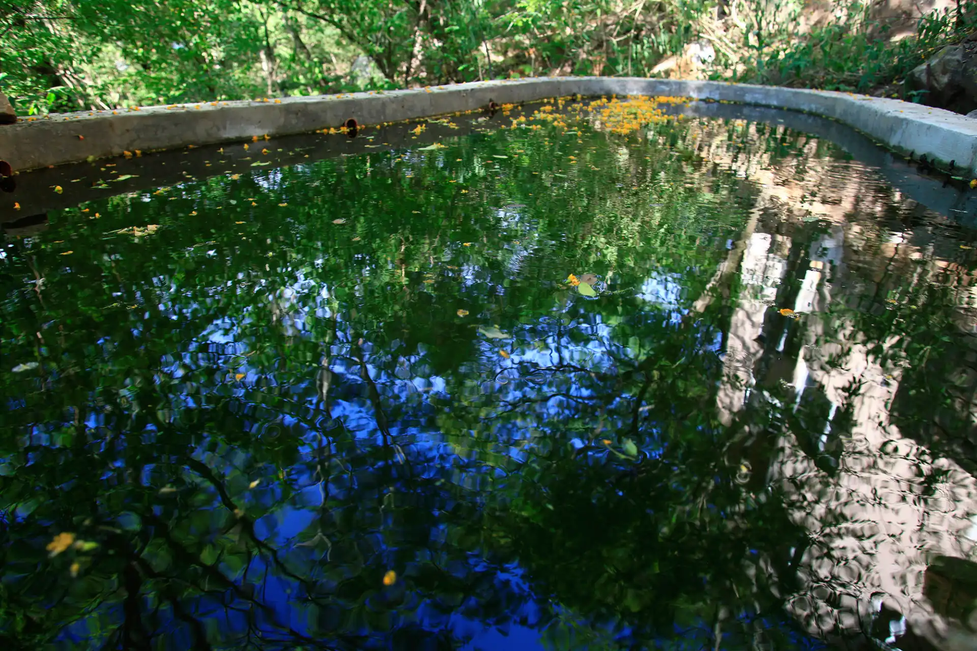 Naturaleza yungas Salta Vaqueros agua