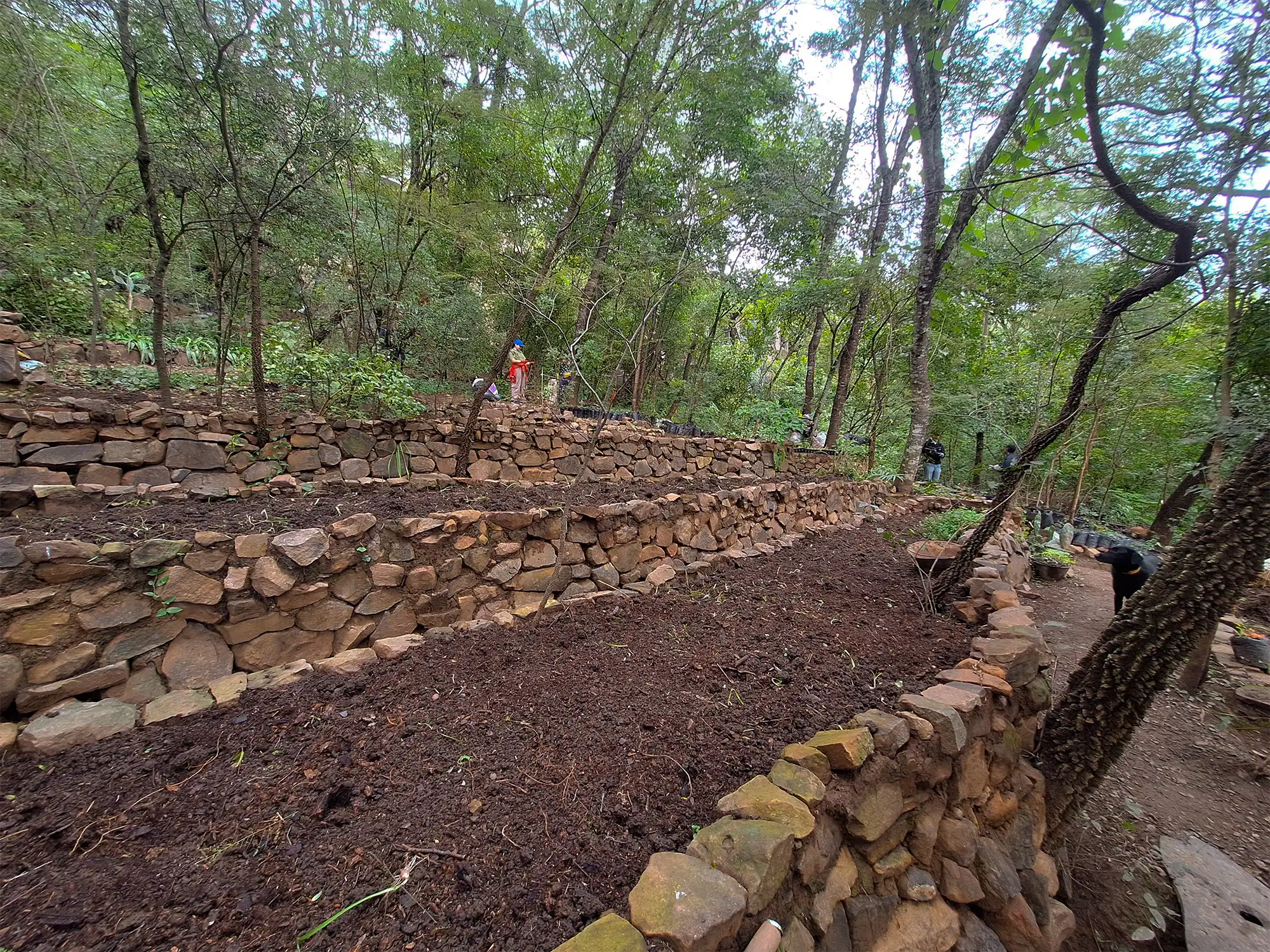 Naturaleza yungas Salta Vaqueros huerta biodinámica